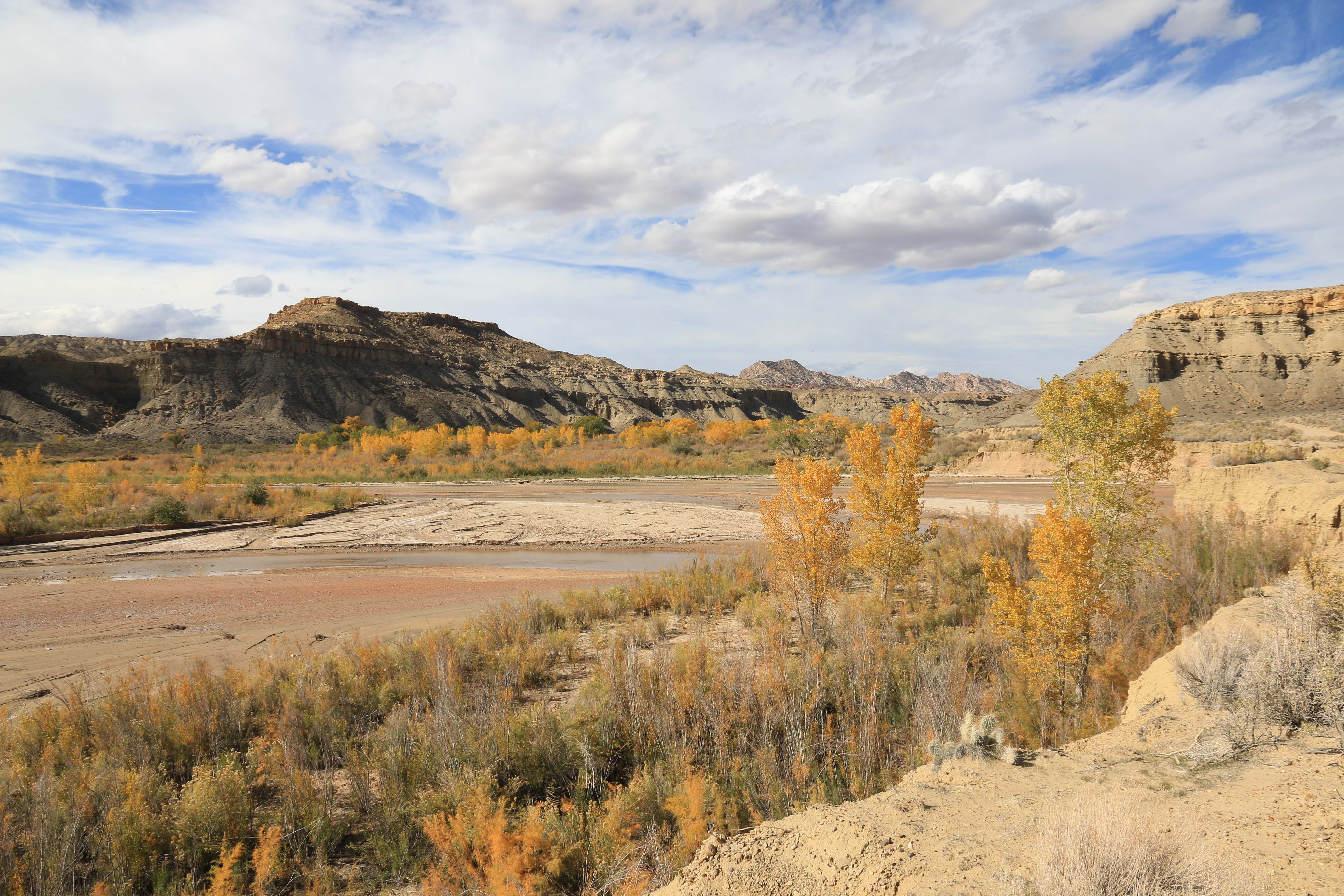 Escalante